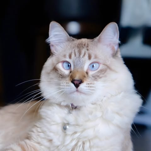 Charm Rivera's profile picture